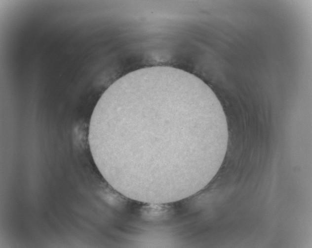 X0000068730672200605121519