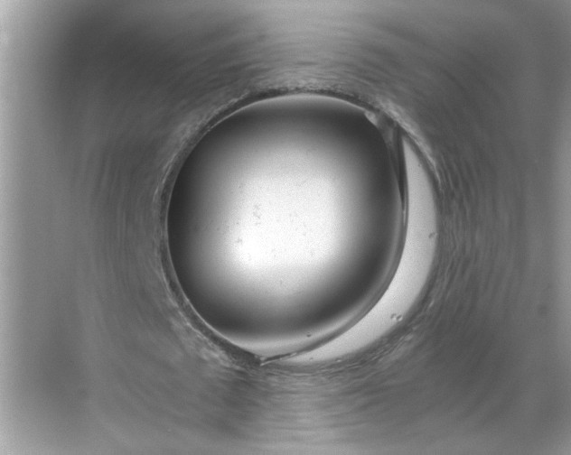 X0000068730673200605121519