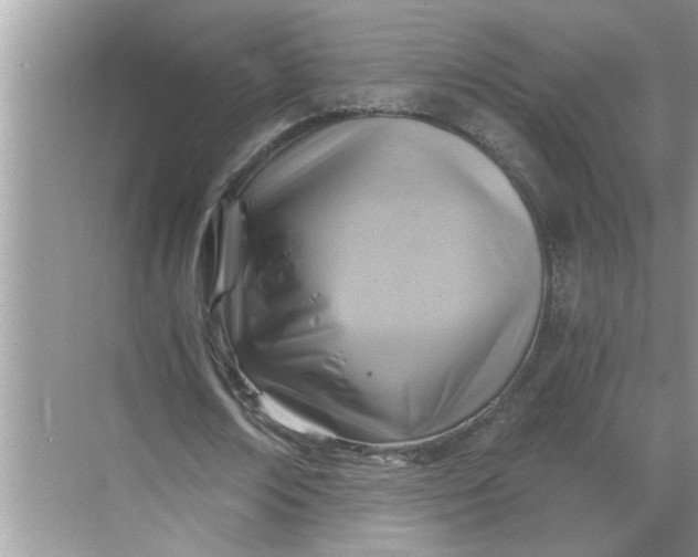 X0000068730674200605121519