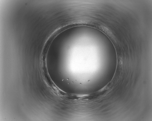 X0000068730676200605121519