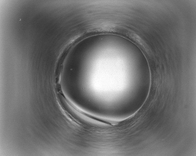 X0000068730677200605121519