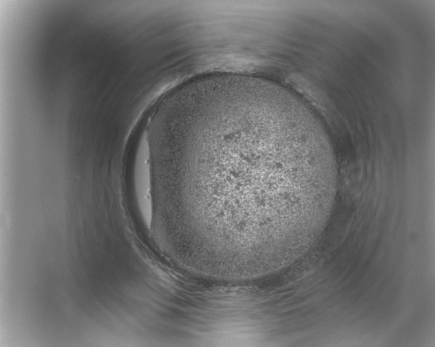 X0000068730679200605121518