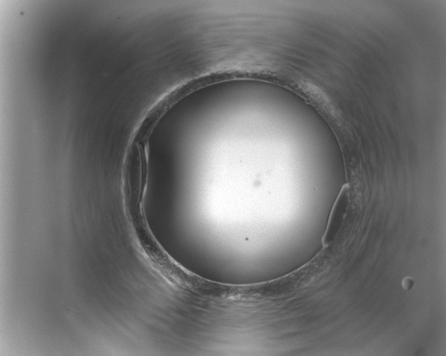 X0000068730680200605121518