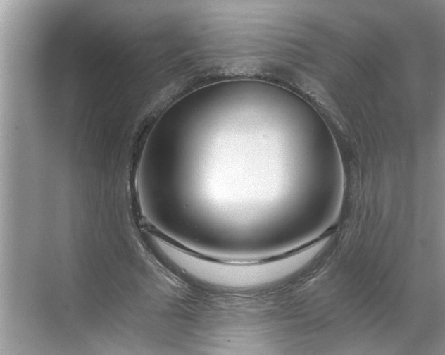 X0000068730681200605121518