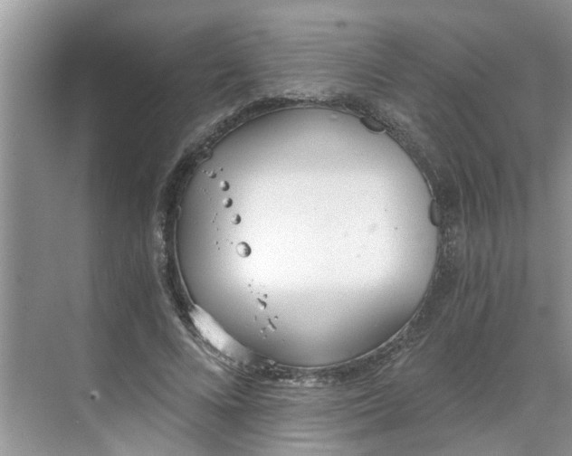 X0000068730688200605121518