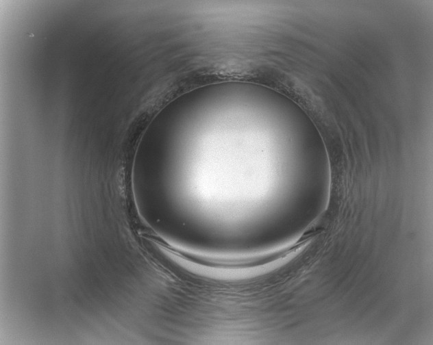 X0000068730689200605121518