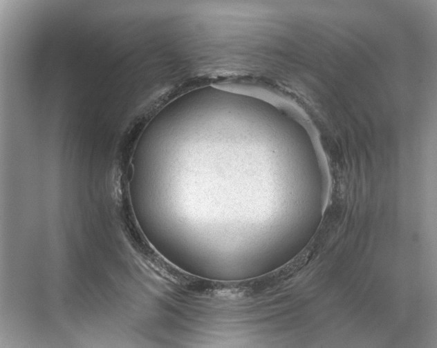 X0000068730692200605121518