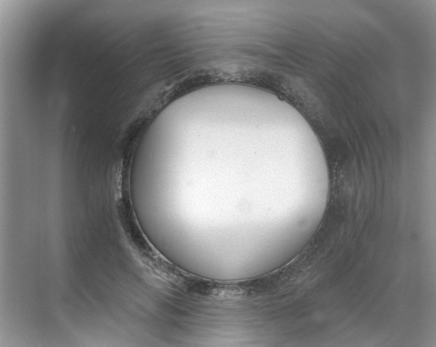 X0000068730694200605121518