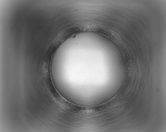 X0000068730695200605121518