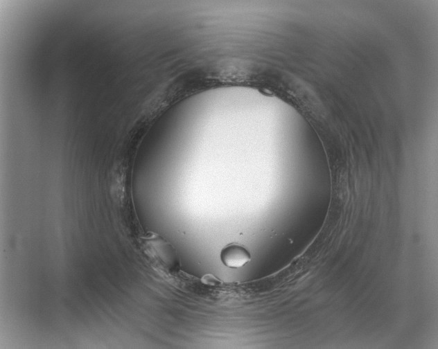 X0000068730697200605121518