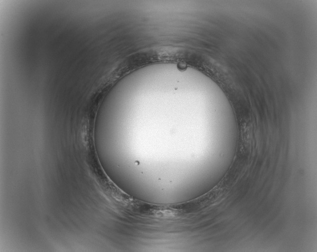 X0000068730698200605121518