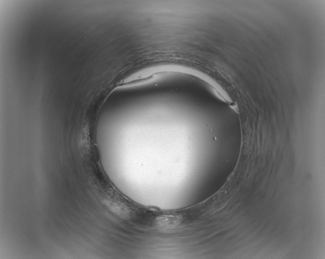 X0000068730700200605121518