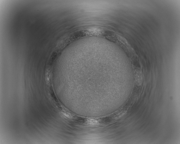 X0000068730701200605121518