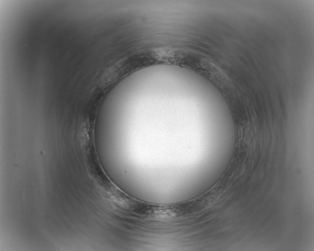 X0000068730702200605121518