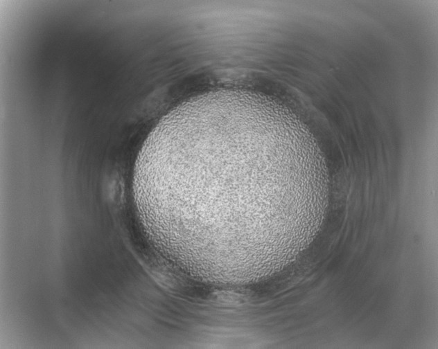 X0000068730703200605121518