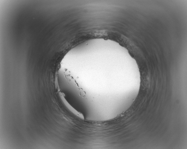 X0000068730704200605121518