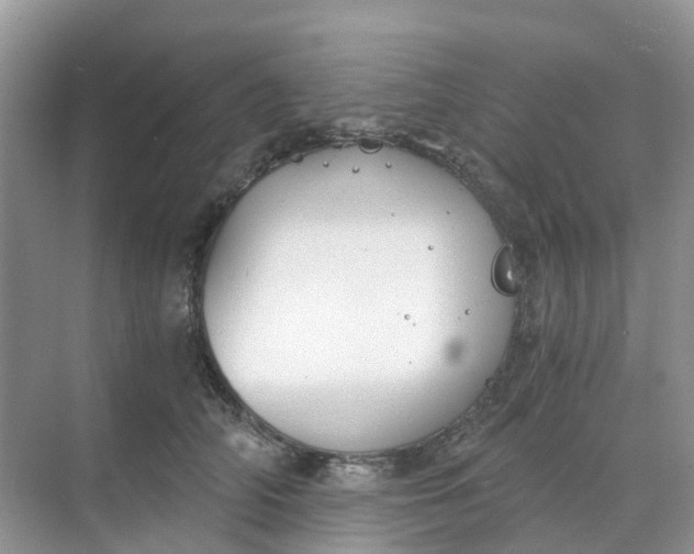 X0000068730706200605121518