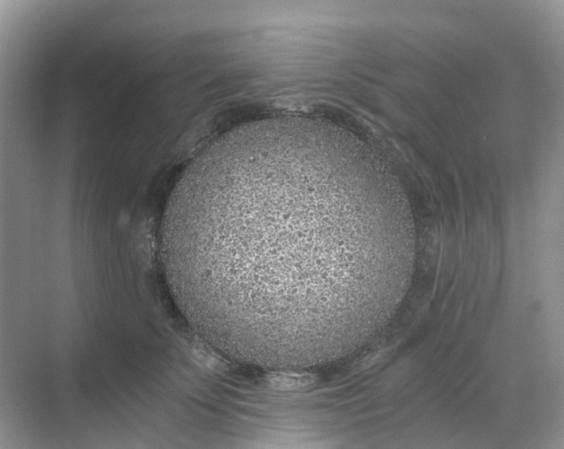 X0000068730707200605121518