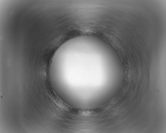 X0000068730710200605121518