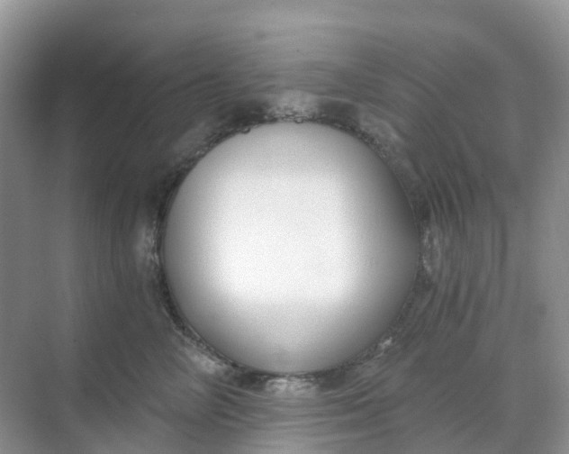 X0000068730714200605121518