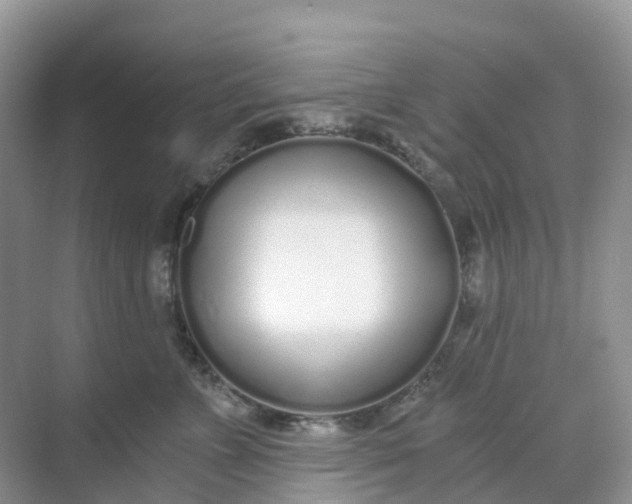 X0000068730715200605121518