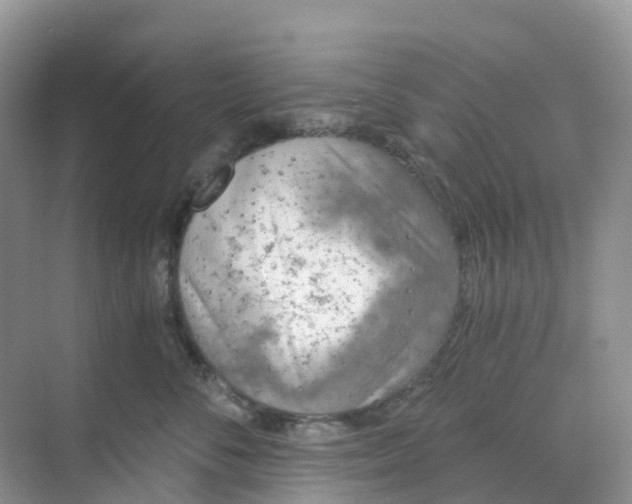 X0000068730716200605121518