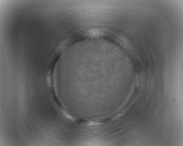 X0000068730718200605121518