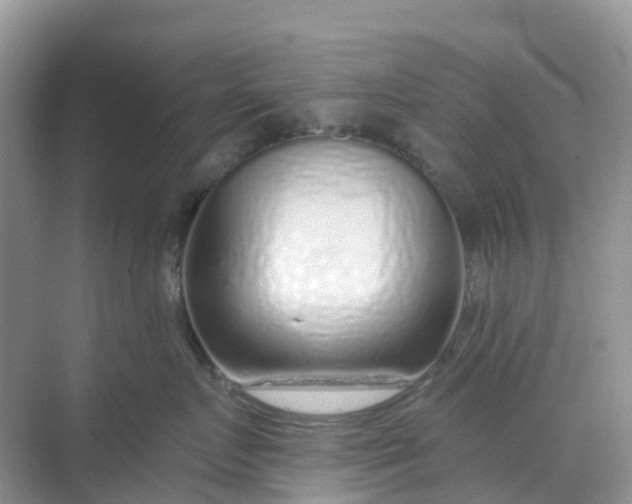 X0000068730719200605121518