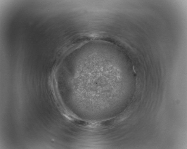 X0000068730720200605121518