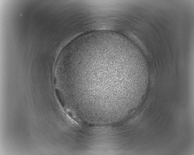 X0000068730721200605121517