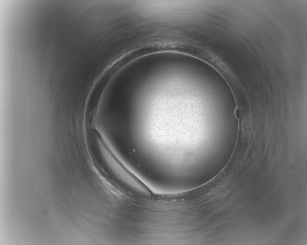 X0000068730722200605121517