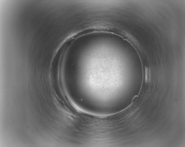 X0000068730723200605121517