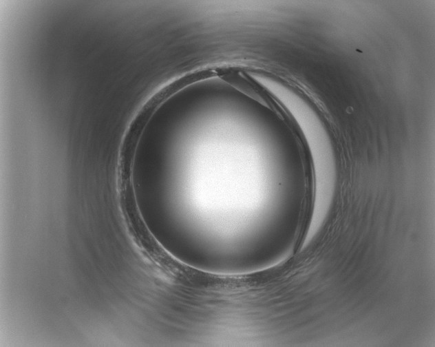 X0000068730724200605121517