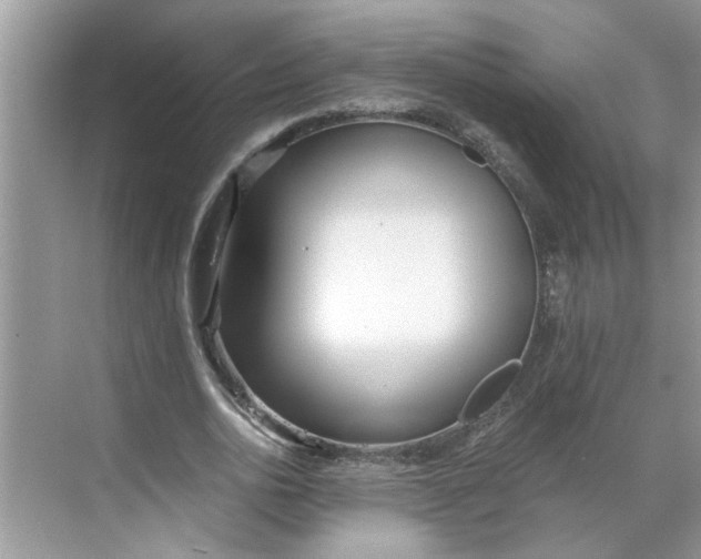 X0000068730726200605121517