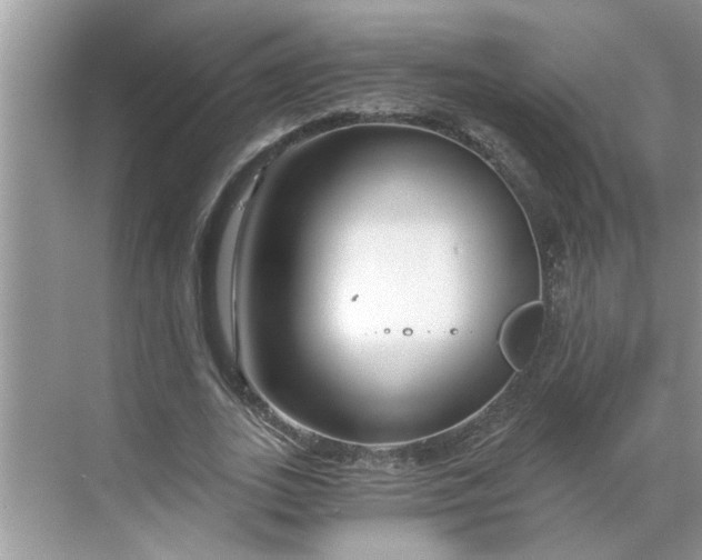 X0000068730727200605121517