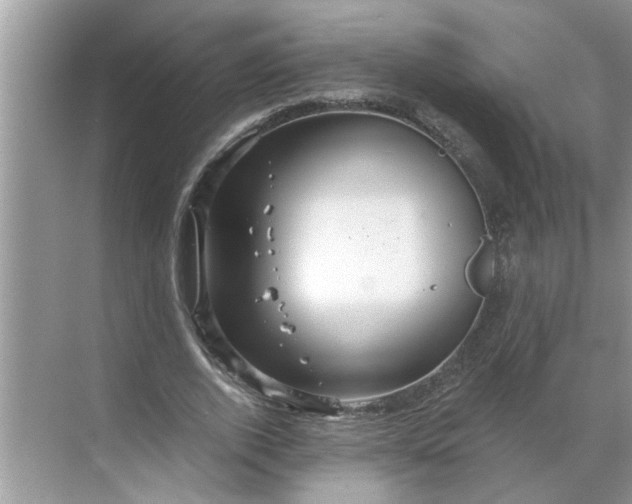 X0000068730728200605121517