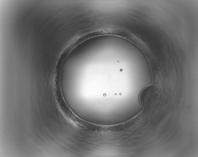 X0000068730730200605121517