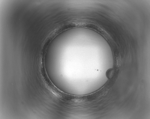 X0000068730733200605121517