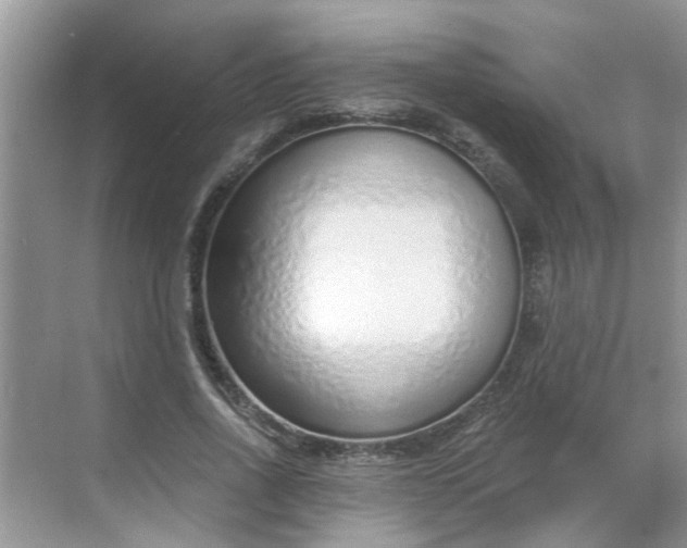 X0000068730734200605121517