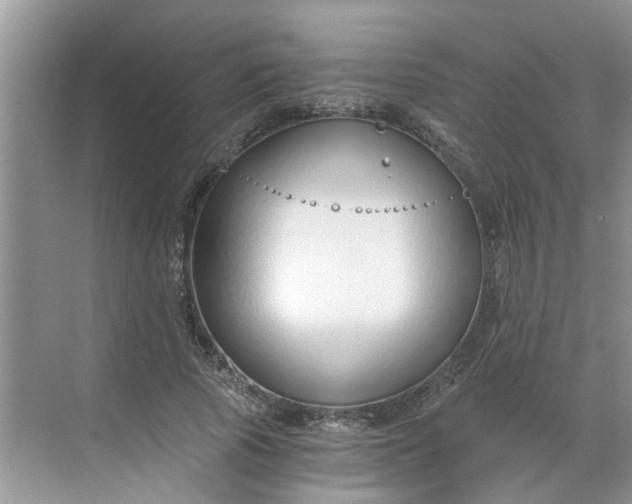 X0000068730737200605121517