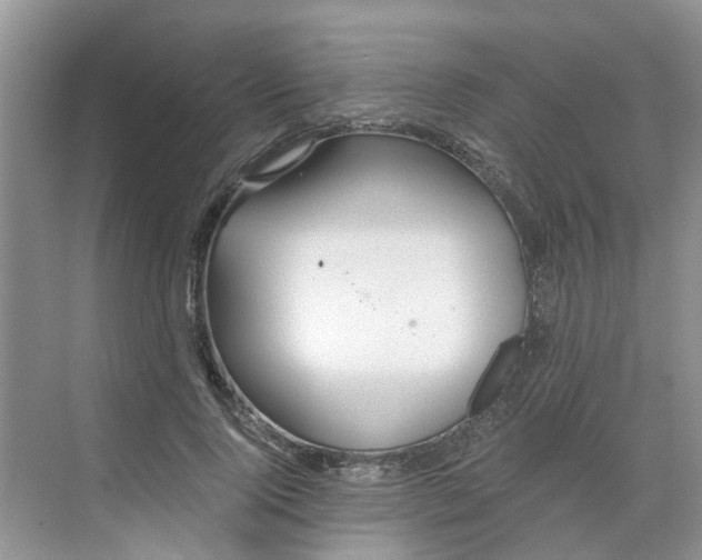 X0000068730740200605121517