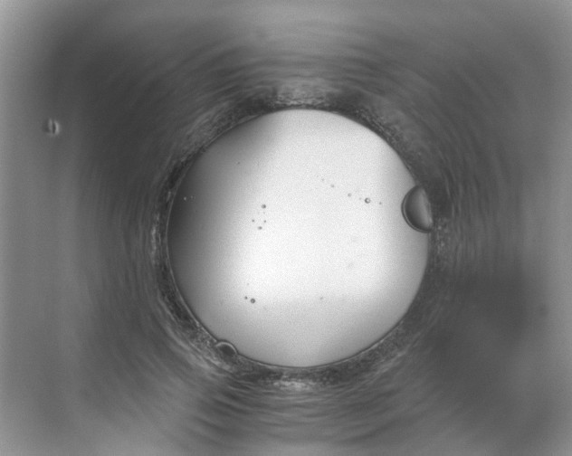 X0000068730741200605121517