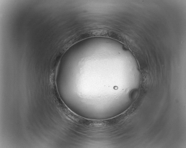 X0000068730745200605121517