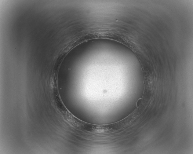 X0000068730746200605121517