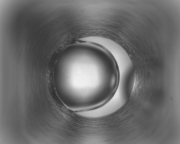 X0000068730750200605121517