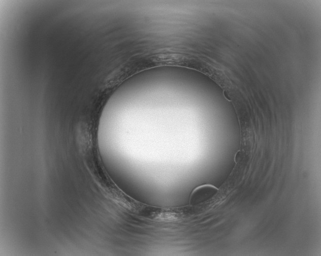 X0000068730751200605121518