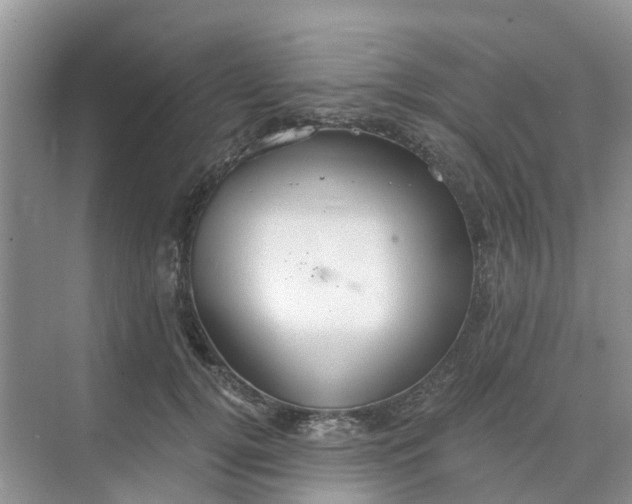 X0000068730752200605121518