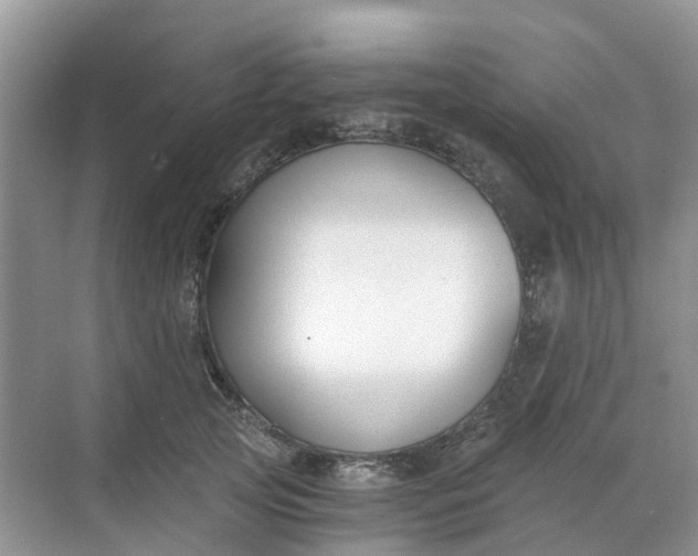 X0000068730753200605121518