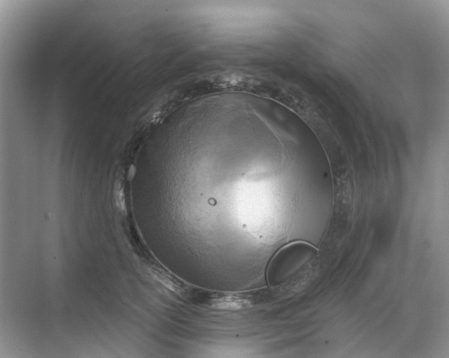 X0000068730754200605121518