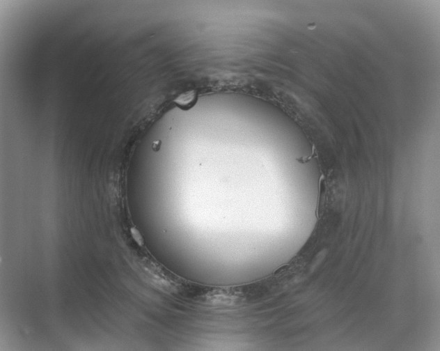 X0000068730756200605121518